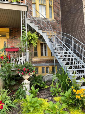 Le saint-Denis Jarry, Montreal